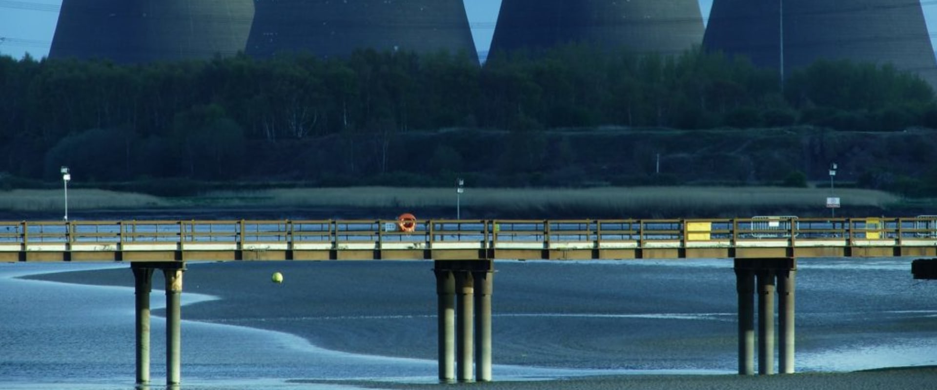 What are the 5 major issue of the environment?