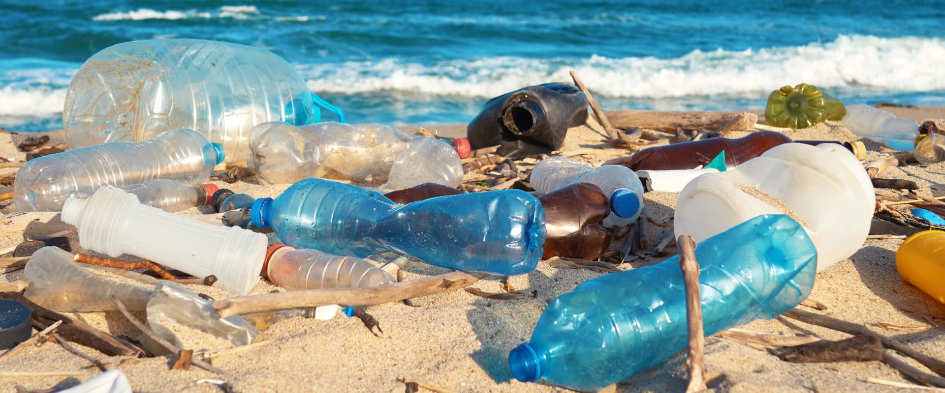 What are 3 environmental issues?
