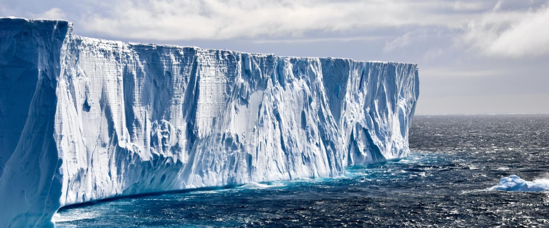 The Importance of Environmentalism: A Perspective from an Expert