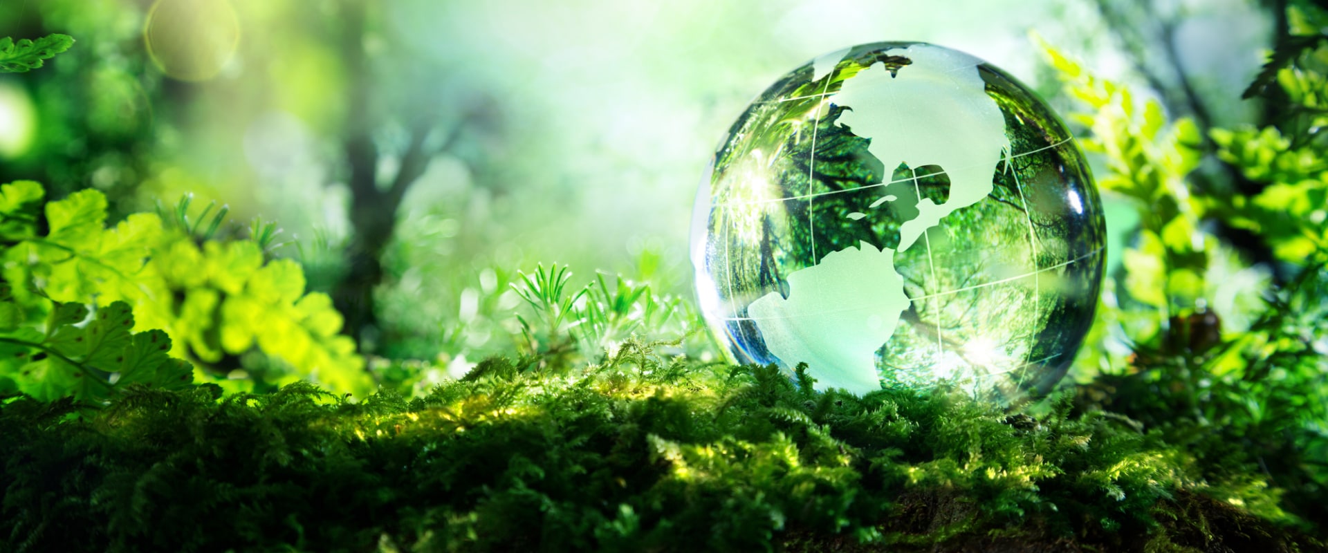 What are top 25 environmental concerns?