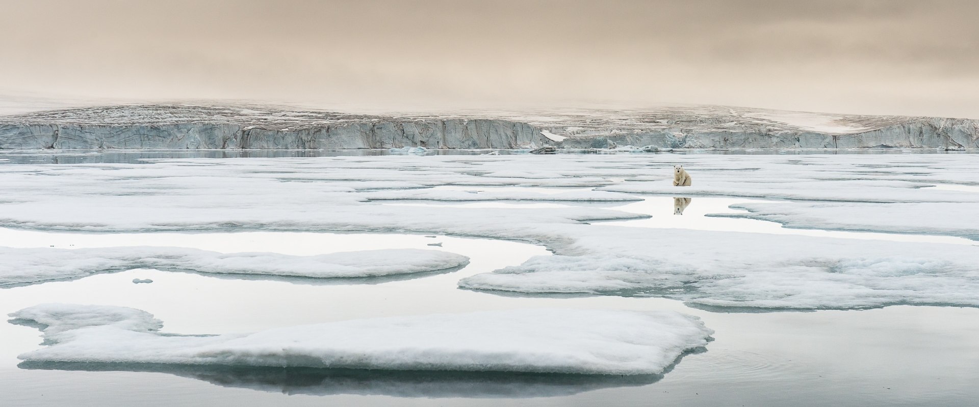 The Importance of Environmentalism: A Perspective from an Expert