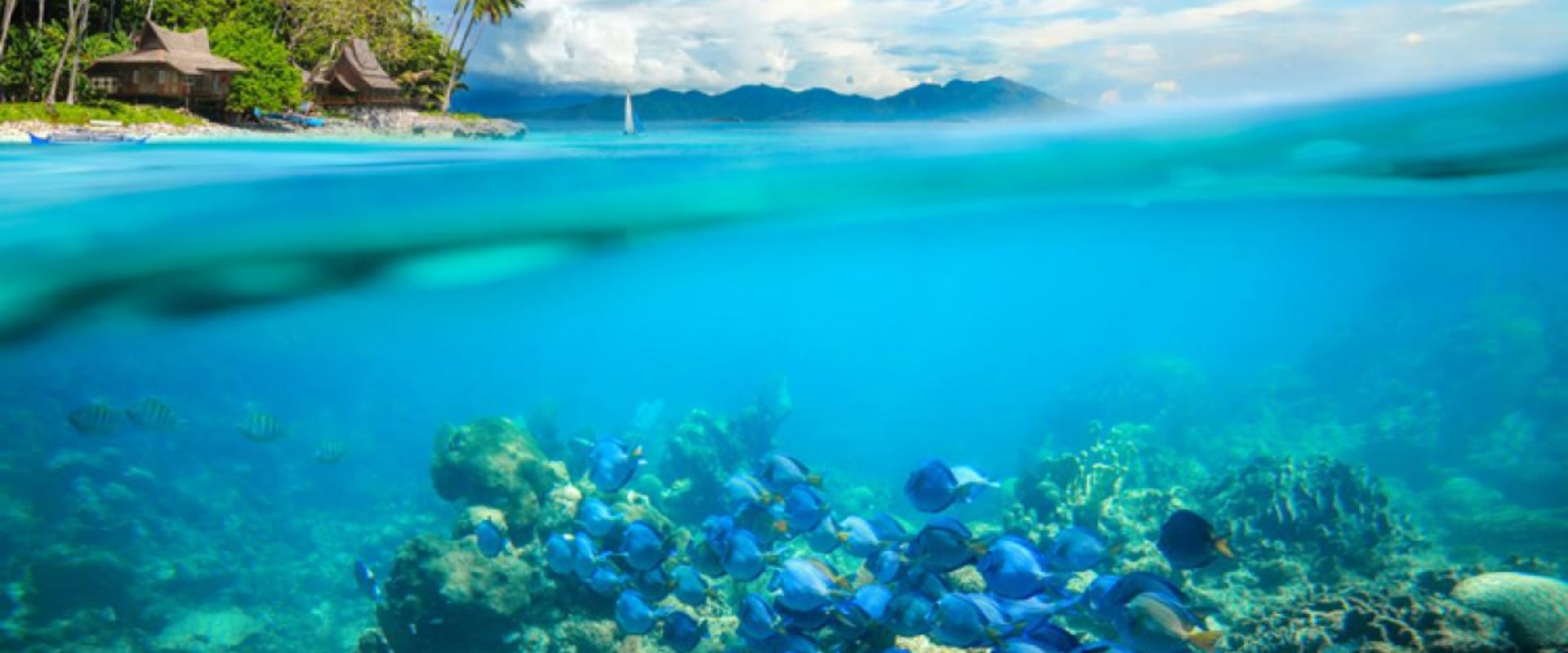 What are 10 major environmental problems?