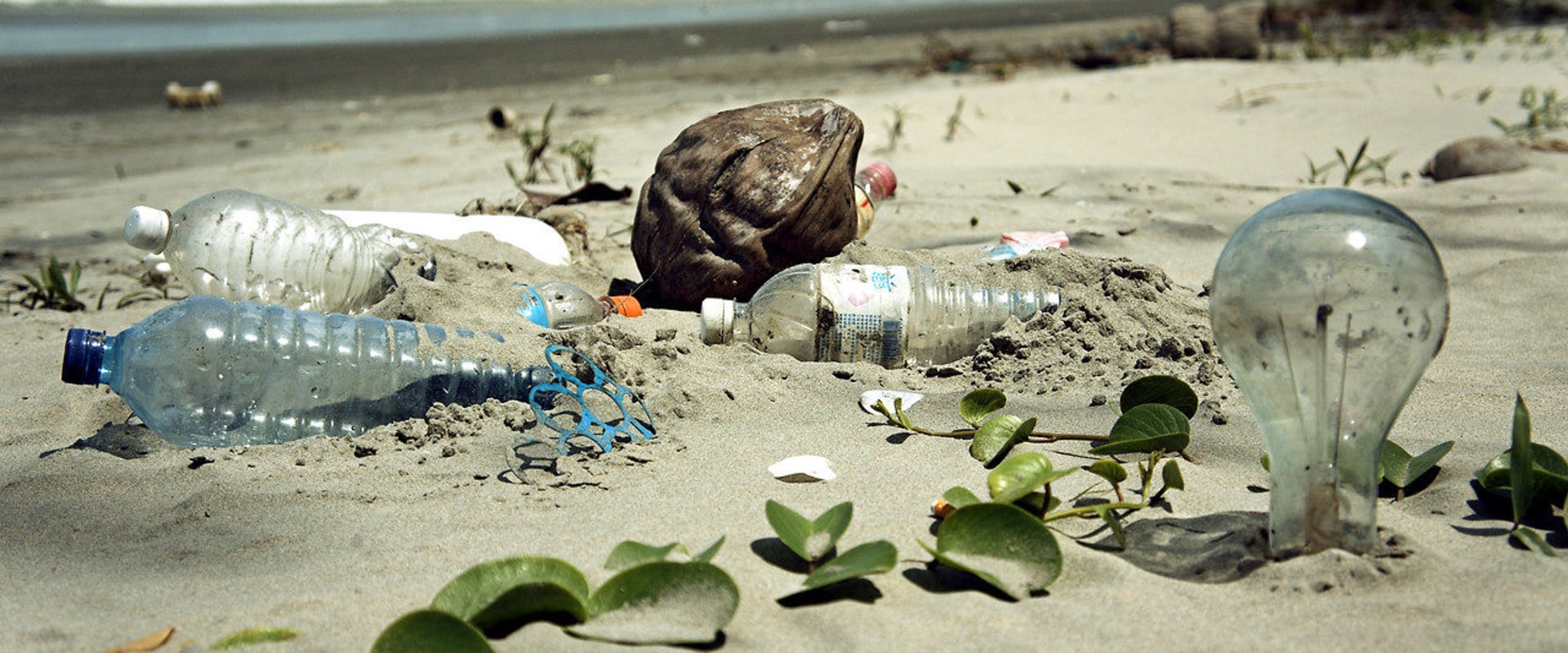 What are the major environmental problem?