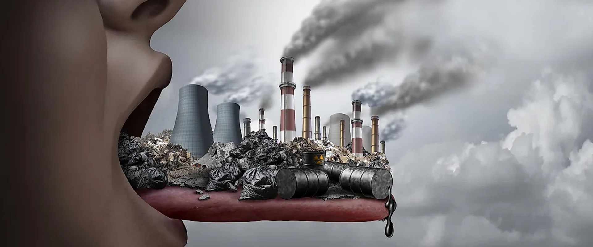 The Urgent Need for Addressing Environmentalism Issues