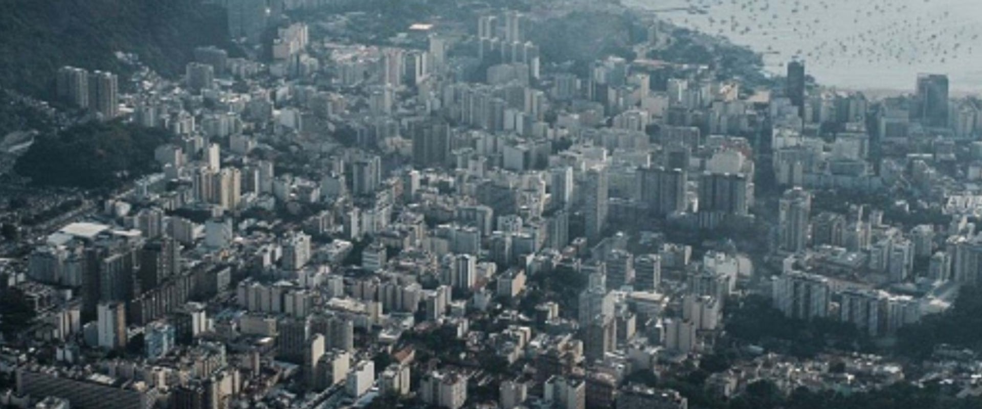 What are the 4 main environmental issues?