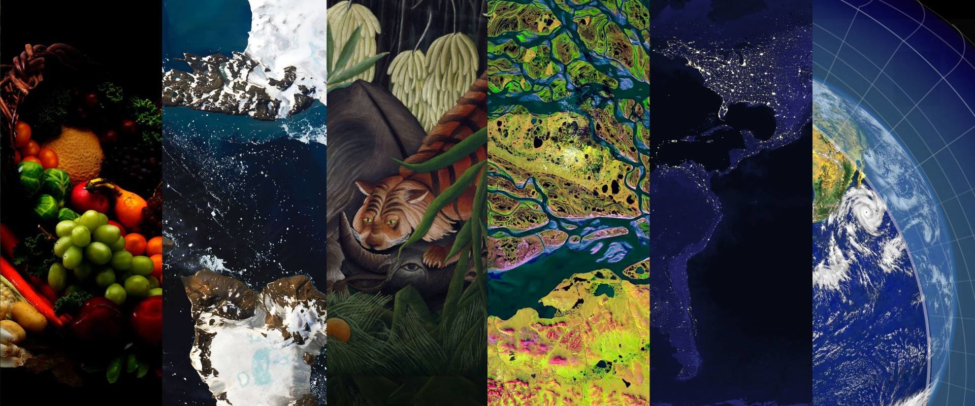 What are 10 environmental issues?