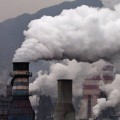 What is the biggest environmental problem and why?