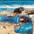 What are 3 environmental issues?