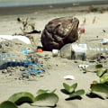 What are the major environmental issues?