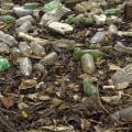 What is the biggest environmental issue?
