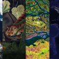 What are 10 environmental issues?