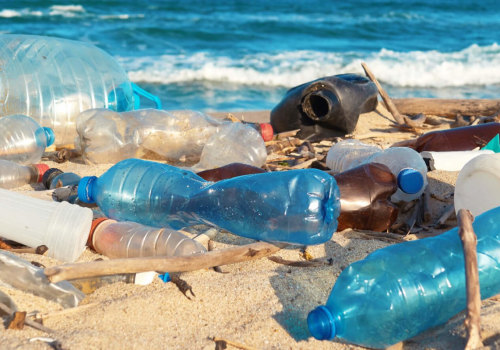 What are 3 environmental issues?
