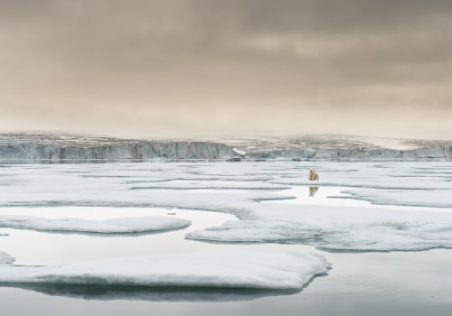 The Importance of Environmentalism: A Perspective from an Expert