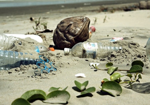What are the major environmental problem?