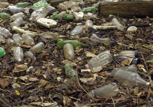 Why is pollution the biggest environmental problem?